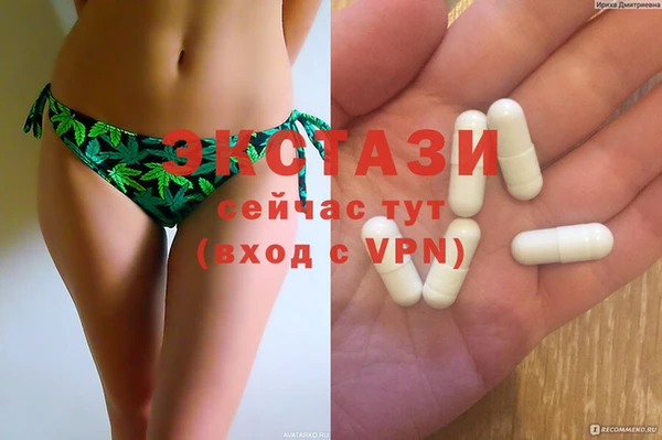 хмурый Арсеньев