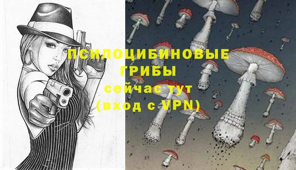 индика Алексин