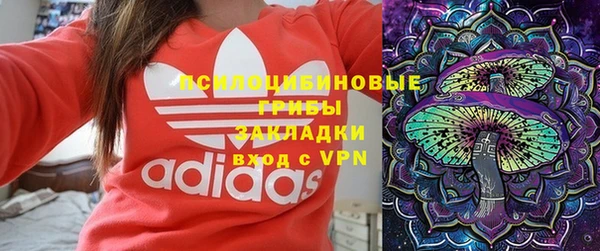 индика Алексин