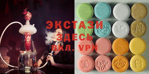 индика Алексин