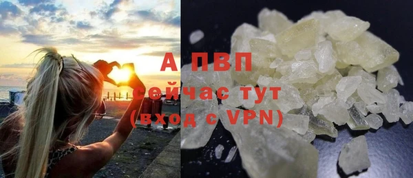 хмурый Арсеньев